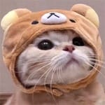 Camilo Acosta avatar