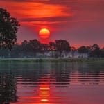 Isaac Belmonte avatar